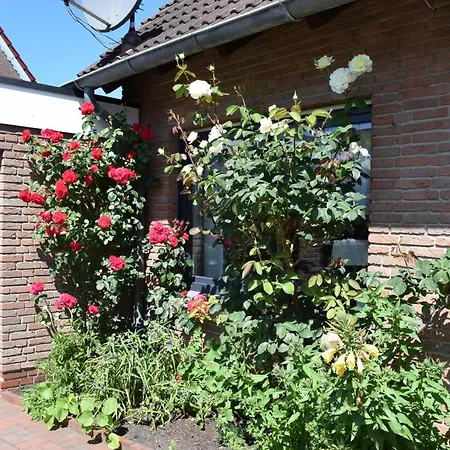 Ferienwohnung Lias Home Eg Berumbur